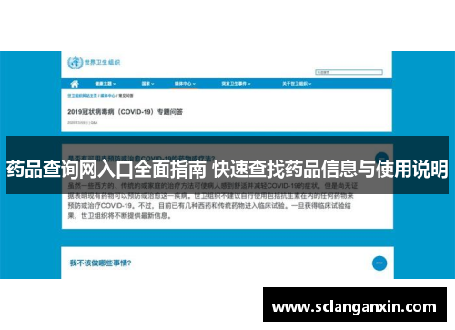 药品查询网入口全面指南 快速查找药品信息与使用说明